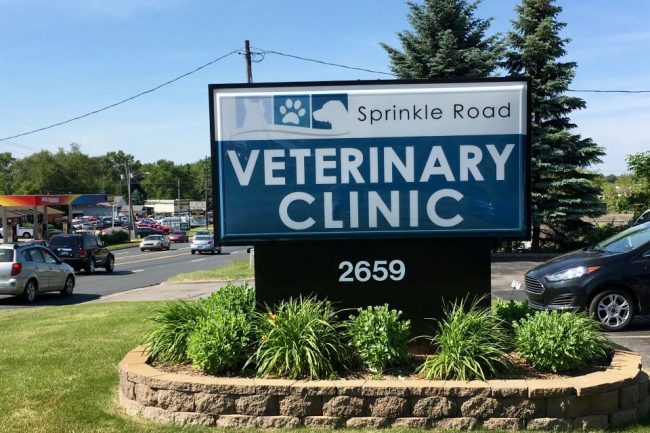 Electric Signs Electric Signs